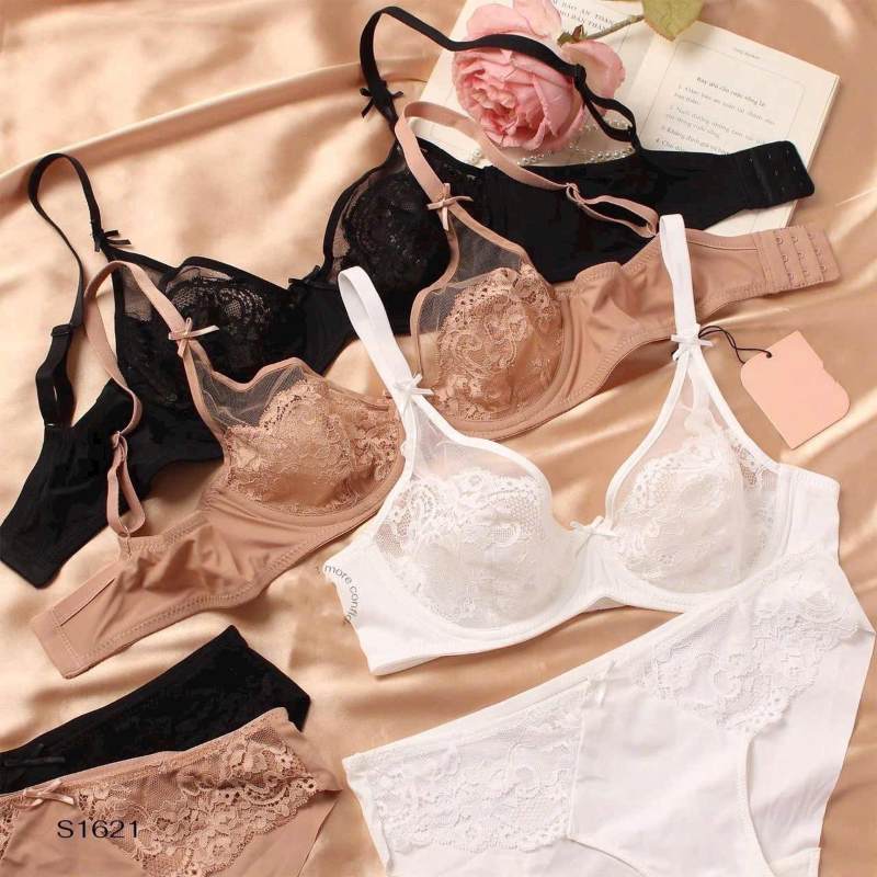 Misa – Đồ Lót Nữ Biên Hòa Tinh Tế